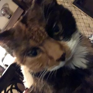 Meet your Posher, Teri